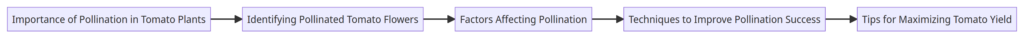 Flow of Pollination Process to Maximizing Tomato Yield