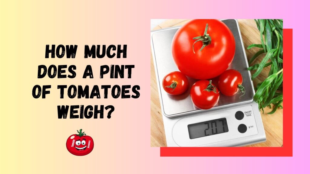 how-much-does-a-t-shirt-weigh-t-shirt-weights-explained