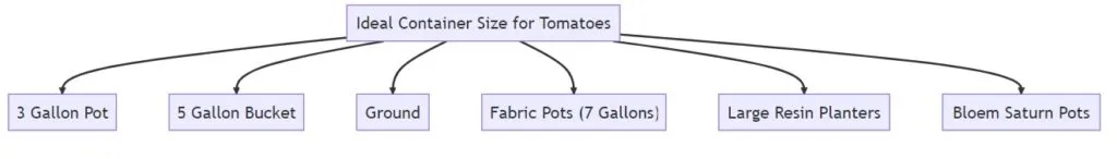 Container Size is Ideal for Tomatoes