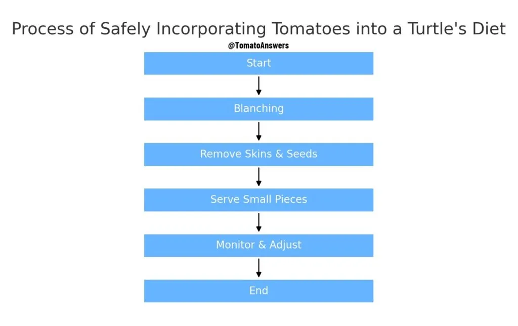Safely Incorporate Tomatoes into Your Turtle's Diet