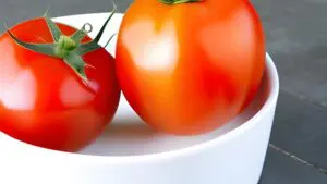 Top 21 Giant Tomato Varieties for Massive Harvests 2026