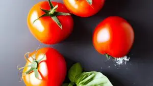 Hearty Tomato and Lentil Soup Recipe