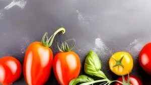 Top 5 Must-Have Planting Tools for 2025: Essential Gear for Every Gardener