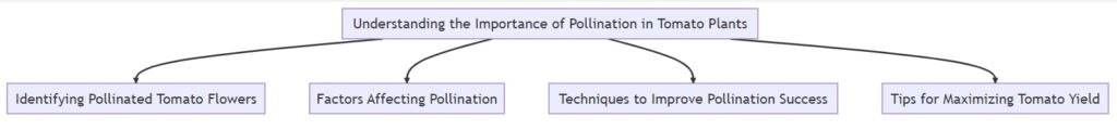 Understanding the Importance of Pollination in Tomato Plants