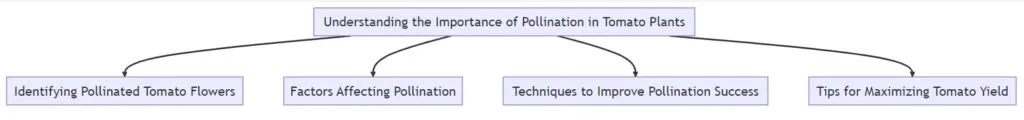 Understanding the Importance of Pollination in Tomato Plants