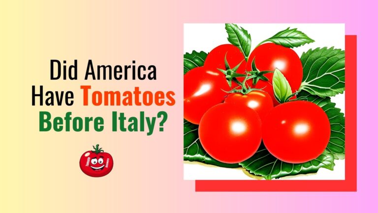 Did America Have Tomatoes Before Italy