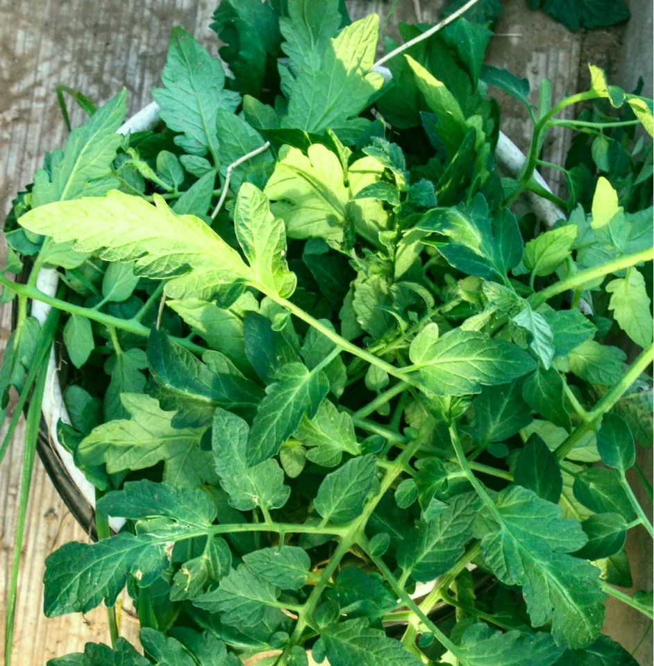 Garnish For Stews