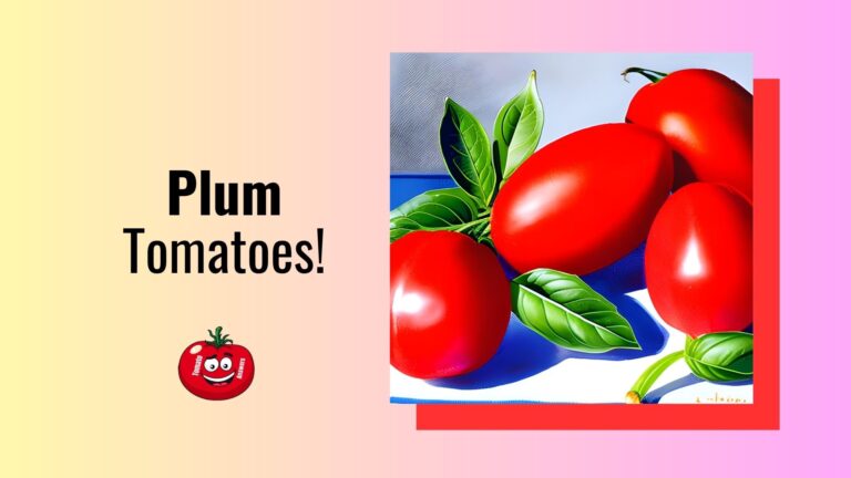 Plum Tomatoes: Health Benefits and Nutrition Facts