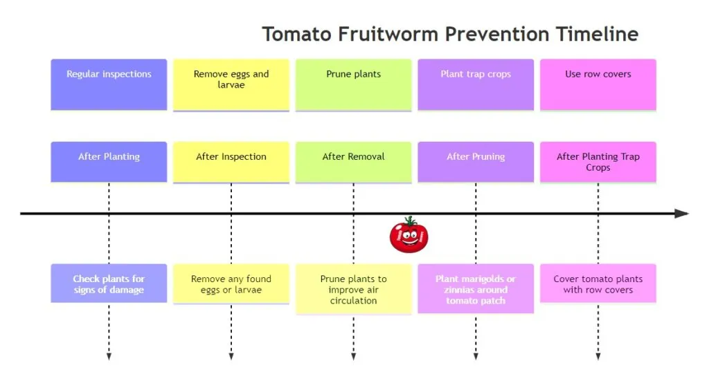 Tomato Fruitworms