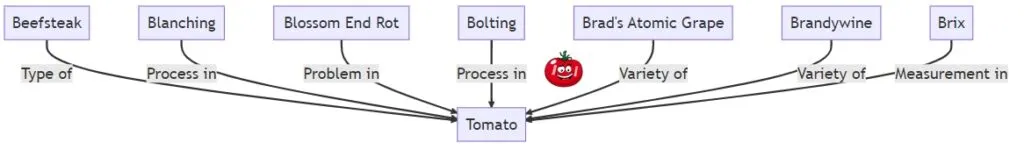 Tomato Terminology (List B)