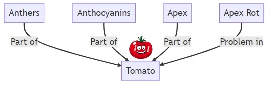 Tomato Terminology (List A)