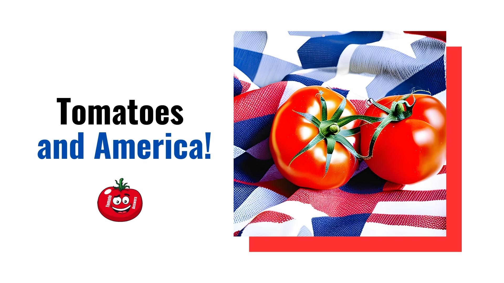 Tomatoes and America