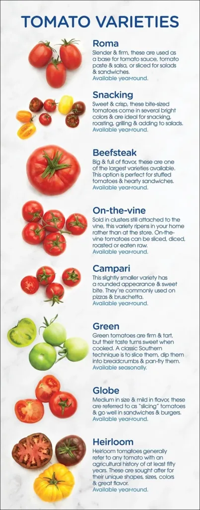 Types-of-tomatoes