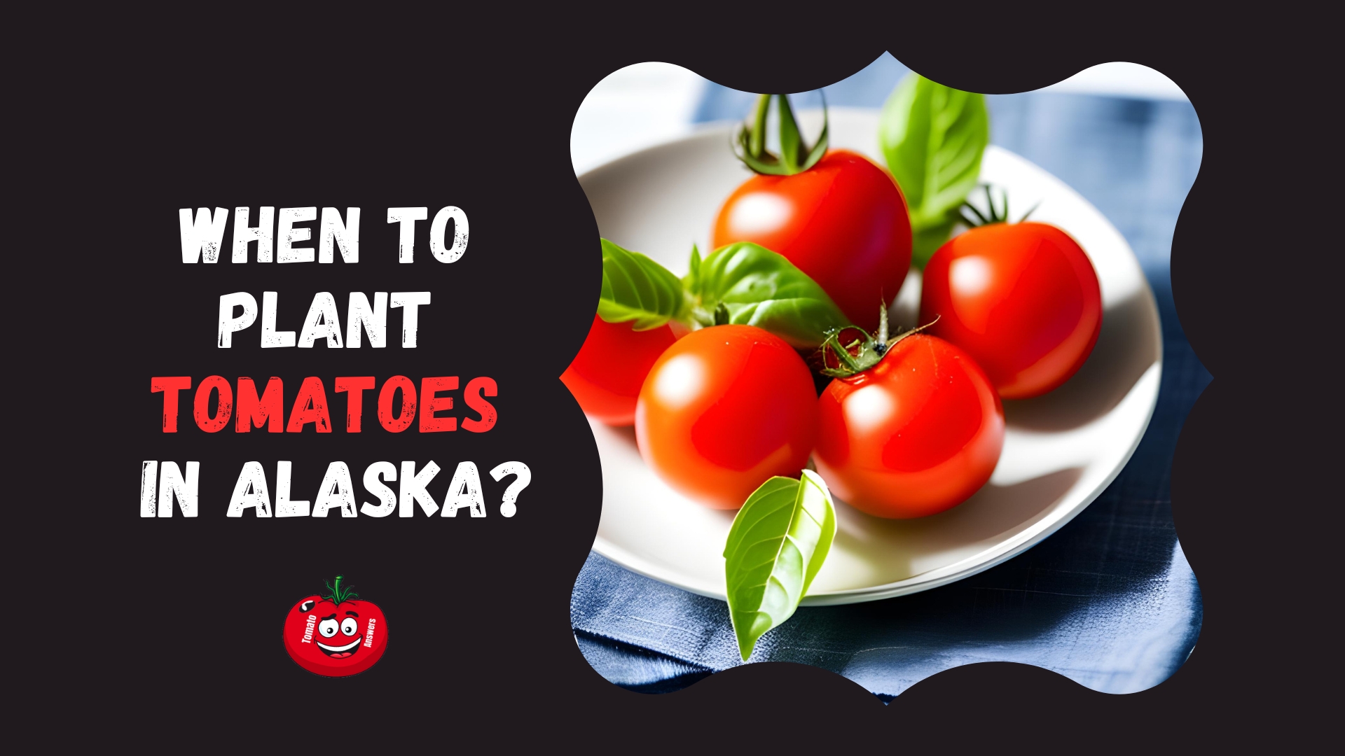 When To Plant Tomatoes In Alaska