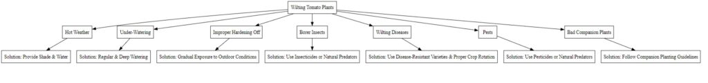 Wilting Tomato Plants Diagram