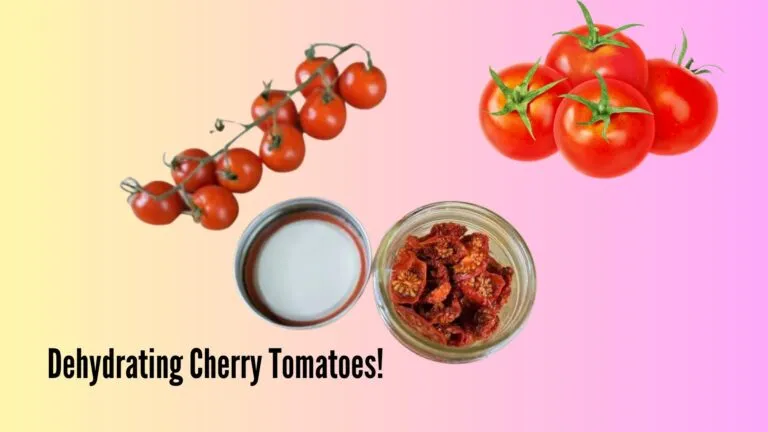 dehydrating cherry tomatoes