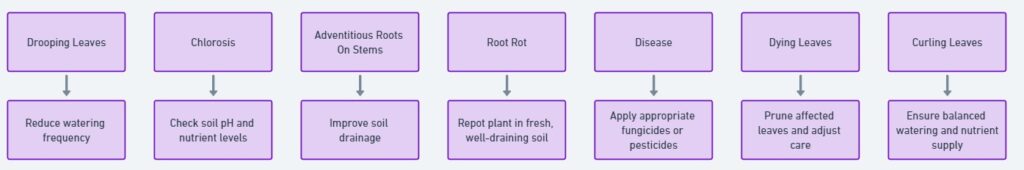 How to Fix Over-Watered Tomato Plant Issues