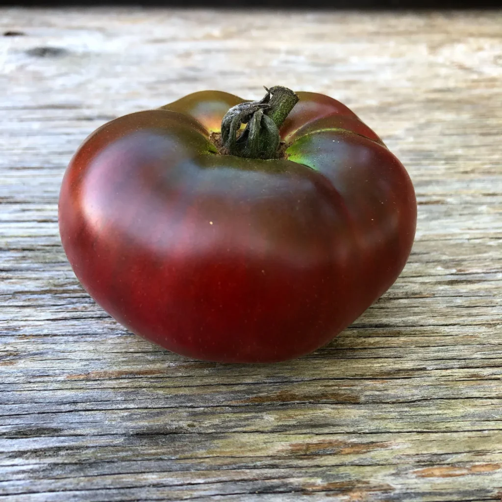 Carbon tomato