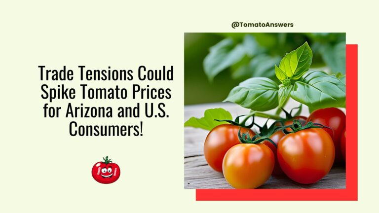 Trade Tensions Could Spike Tomato Prices for Arizona and U.S. Consumers