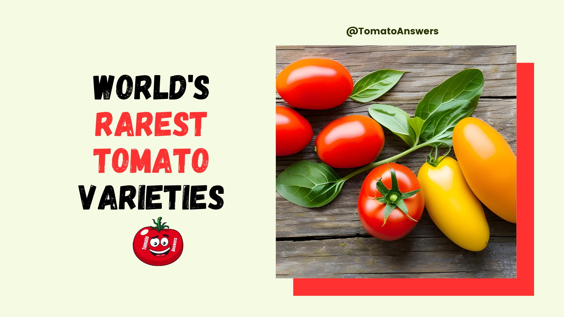 Top 10 World's Rarest Tomato Varieties