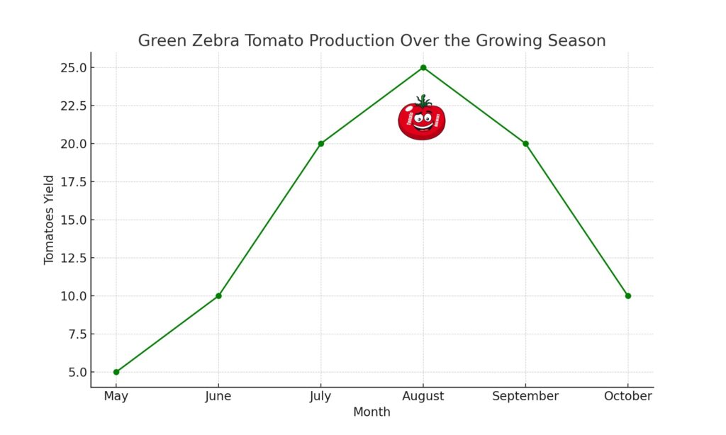 Green Zebra Tomatoes Prolific Production