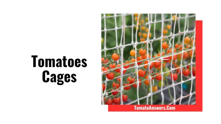 Tomatoes Cages facts