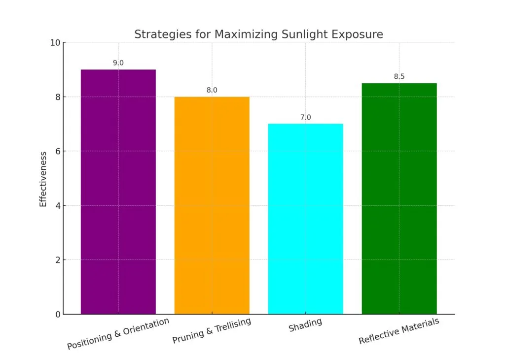 Strategies for Maximizing Sunlight