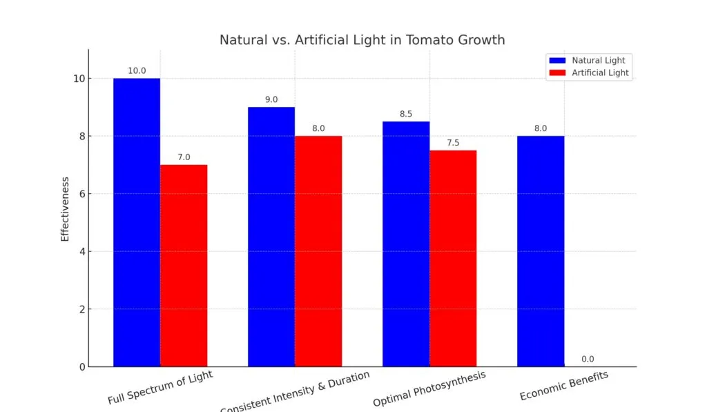 Natural vs. Artificial Light