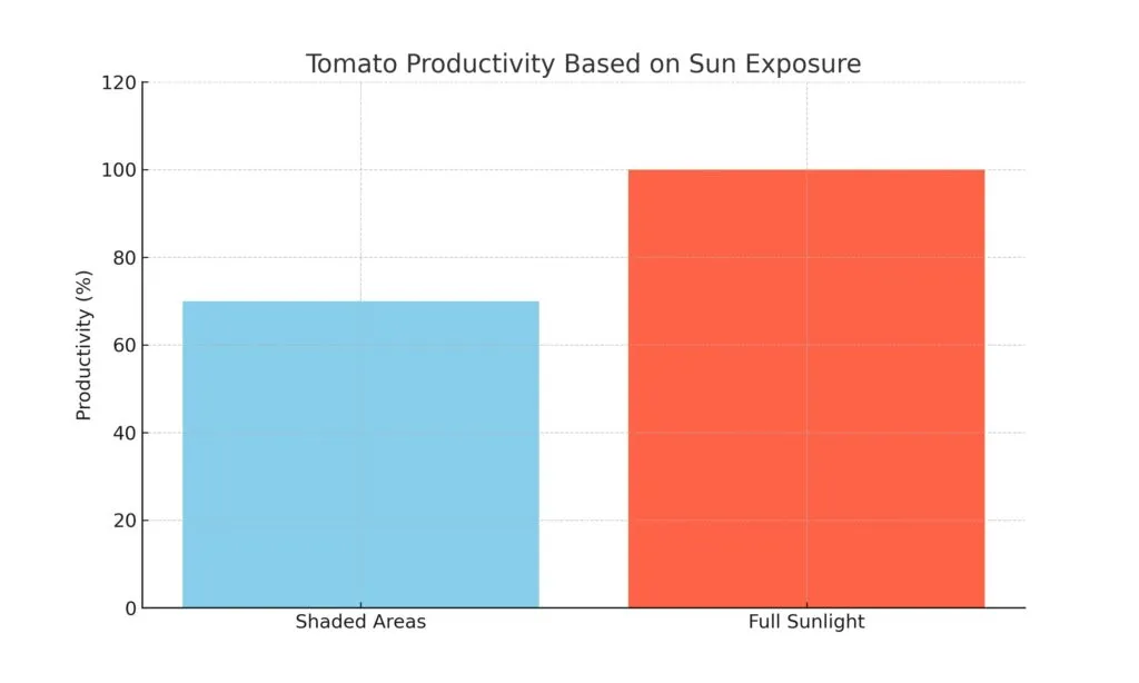 bar chart illustrating tomato productivity based on sun exposure