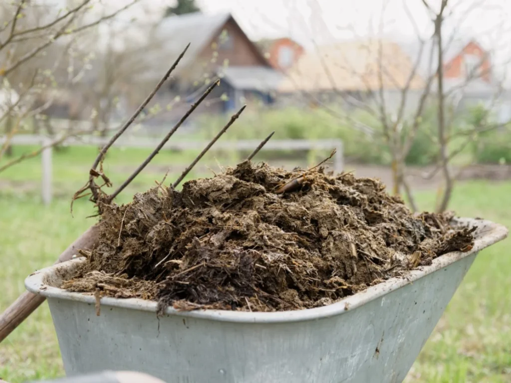 Manure Tea