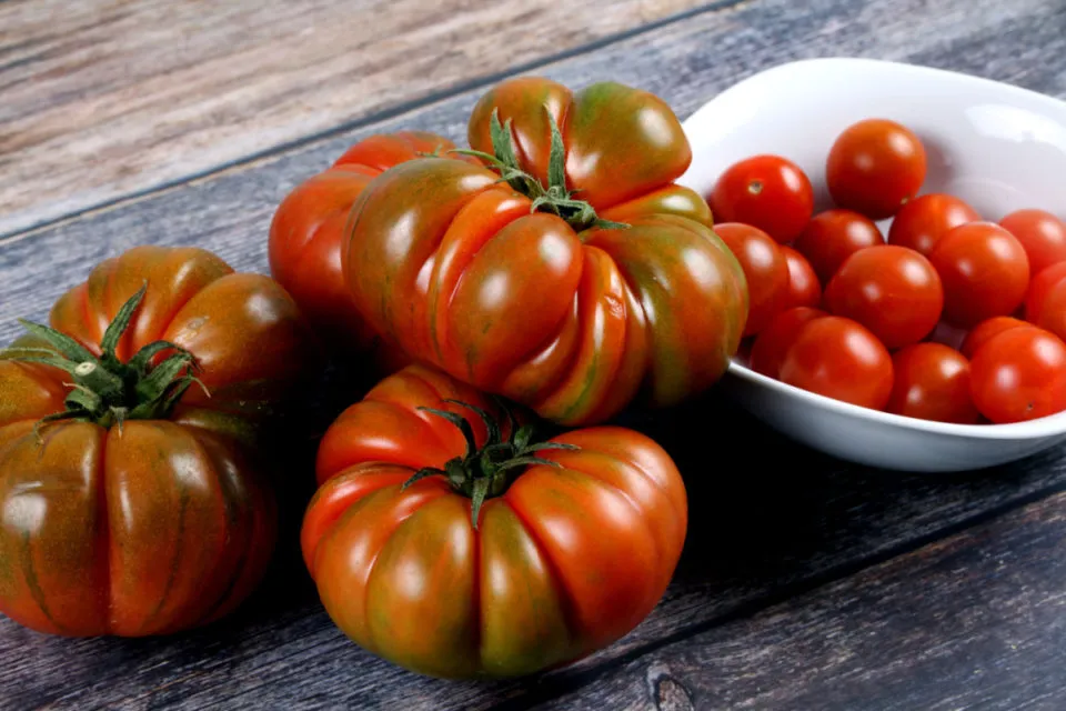 Brandywine Tomato