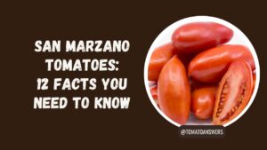 San Marzano Tomatoes: 12 Facts You Need to Know