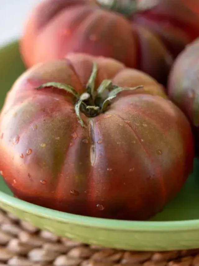 Black Krim Tomatoes Best Known For