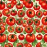 Scientific Tomato Facts