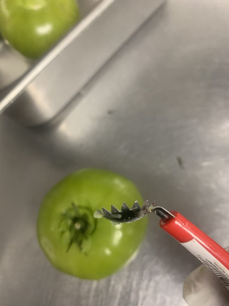 Tomato Corer