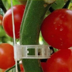 Tomato Trellis Clips Review