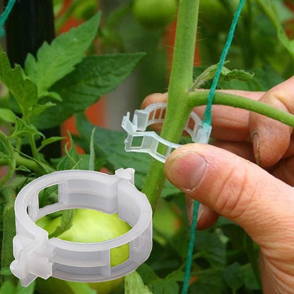 Tomato Trellis Clips Review