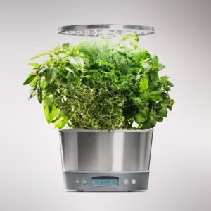 AeroGarden Harvest Indoor Garden Review 2025 – Is This Hydroponic System Worth It?