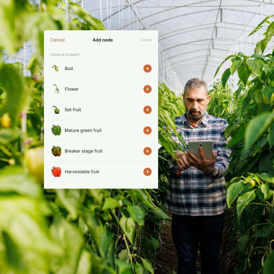 Source.ag Plant Balance Metrics main dashboard showing generative and vegetative analysis with AI-powered insights